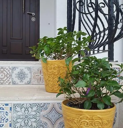 Jaza Mamaia Năvodari