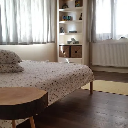 بيت ضيافة Jaza Mamaia Năvodari
