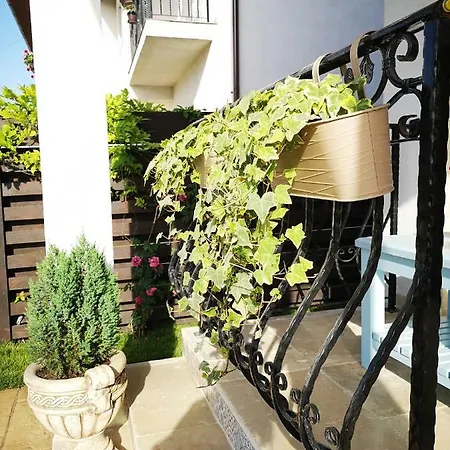 بيت ضيافة Jaza Mamaia Năvodari